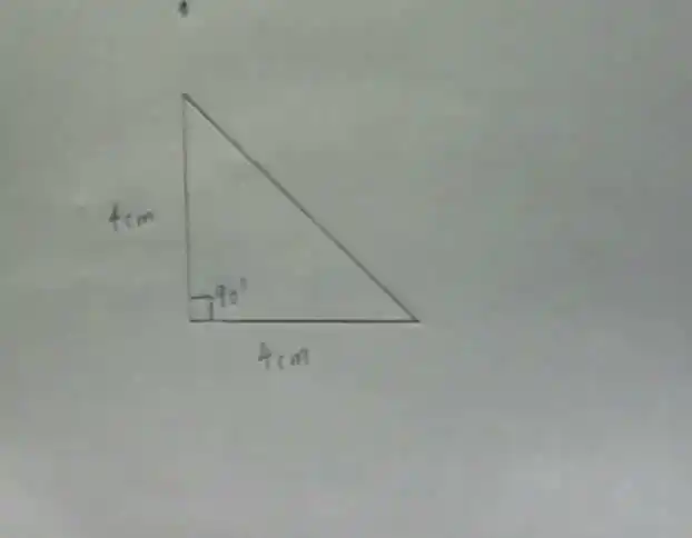 两条边都是4厘米,它们的夹角是90度的三角形 (画图)