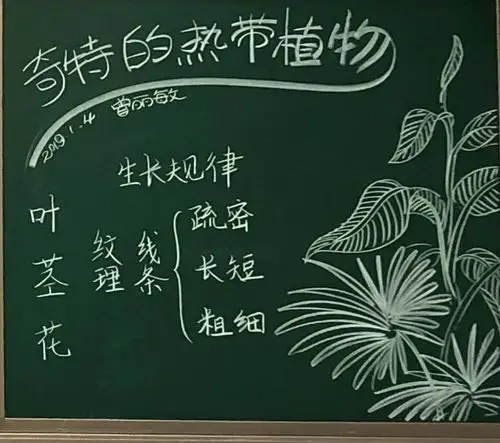 《美术老师导课板书交流活动》圆满结束啦!