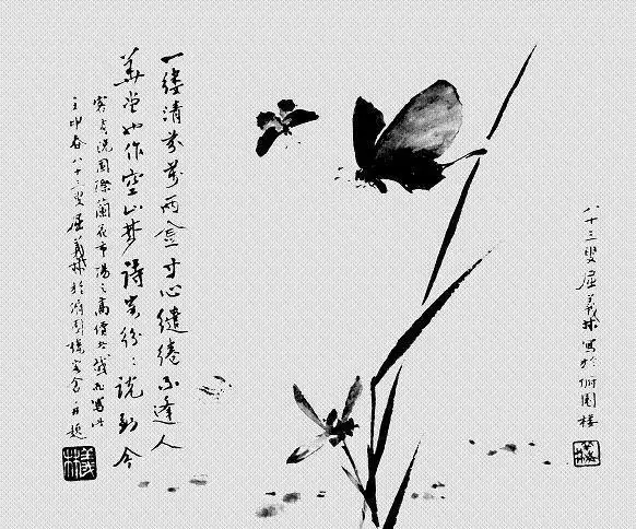 庄周梦蝶究竟梦见了什么