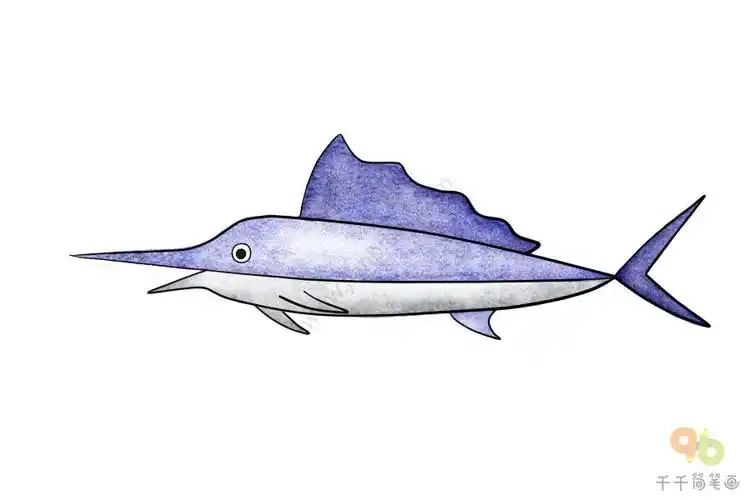 剑鱼水彩简笔画图片