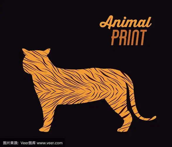 动物图案设计