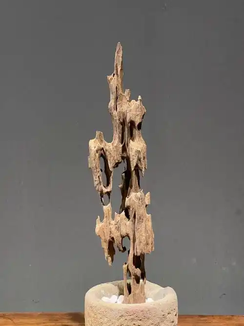 用之美—朴实材质的升华 ▎天然奇石状朽木案头摆件_大自然_硬木