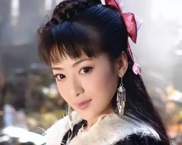 里的小青,《活佛济公》里的胭脂;《大汉天子》里的平阳公主,陈紫函