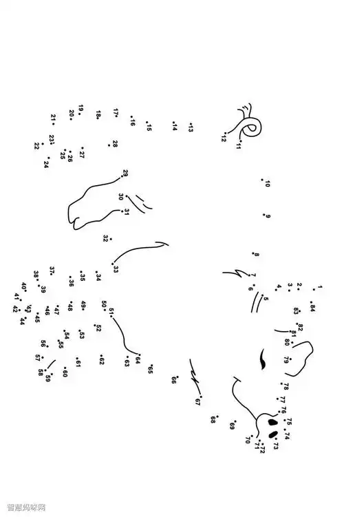 猪连线画图片素材