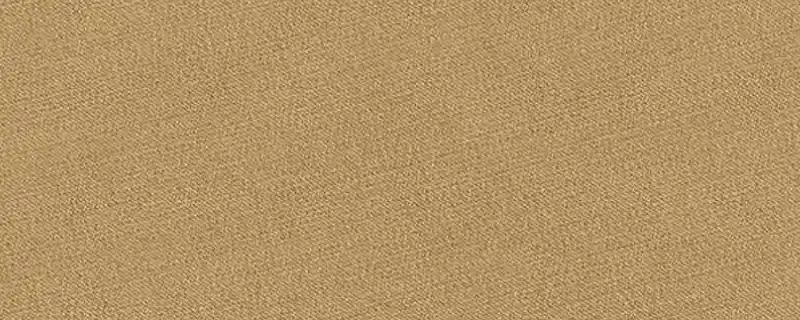 深卡其色是什么颜色