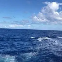 大海意境高清头像_微信头像图片大全