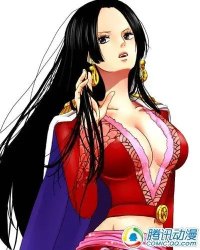 【讨论】路飞生命中的七个女人