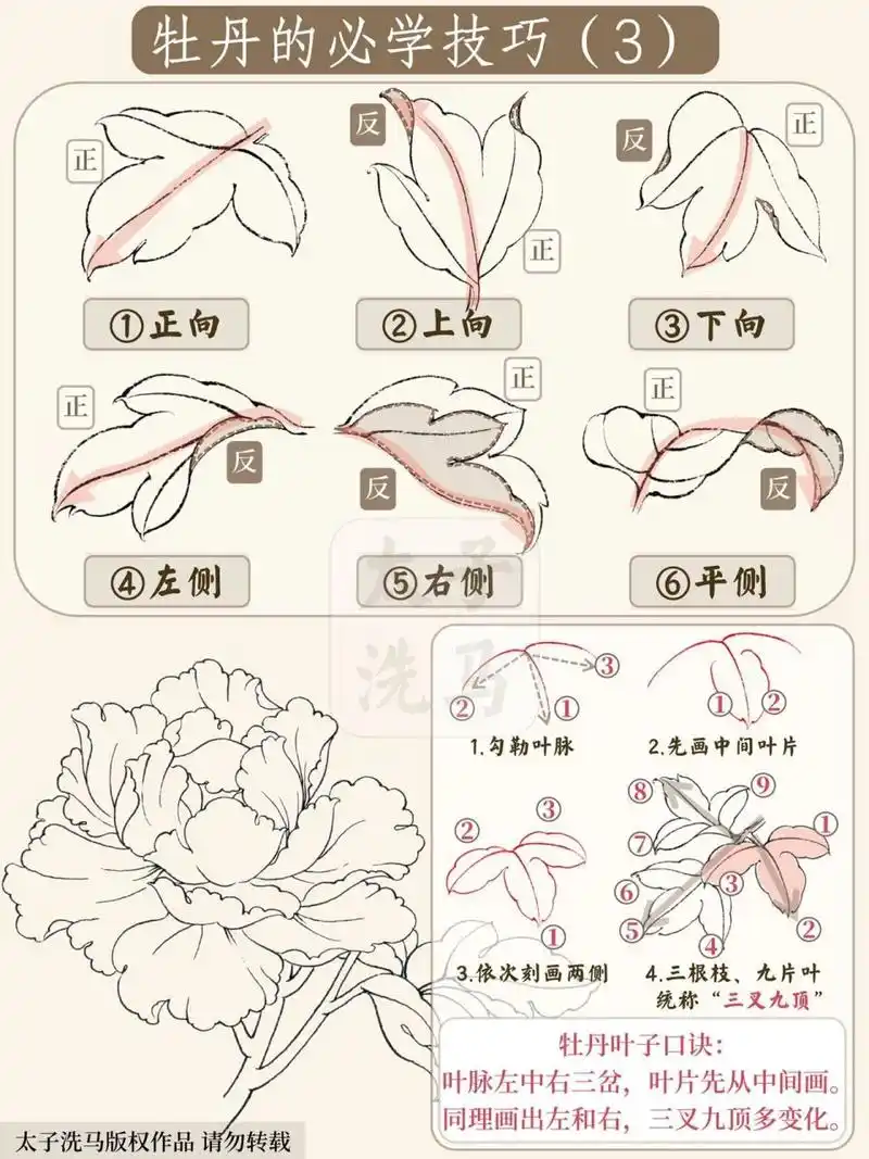 牡丹叶子是种多片复合式的类型,叶子较大,叶片较多,对讲求"三叉九顶".