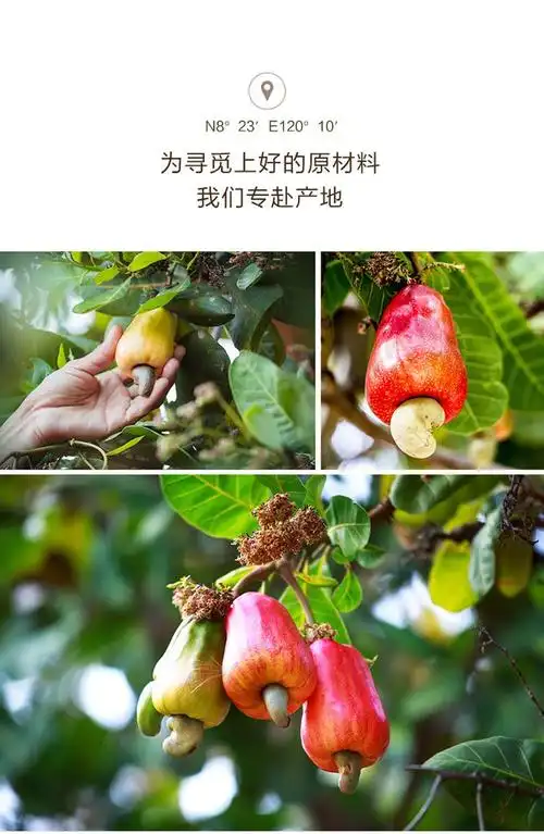 良品铺子休闲零食专场 烘焙腰果136g/袋 产地: 中国 包装: 袋装 贮藏