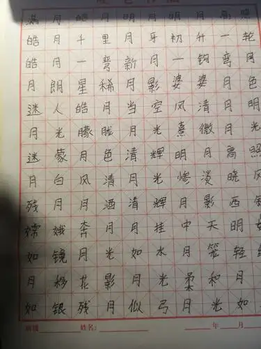 语文作业全部写完,字帖20篇,阅读12篇,摘抄本20篇.