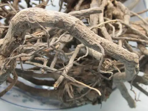 野生 白面风根 山白芷 乌脚鸡 寻骨风 500g 两斤包邮