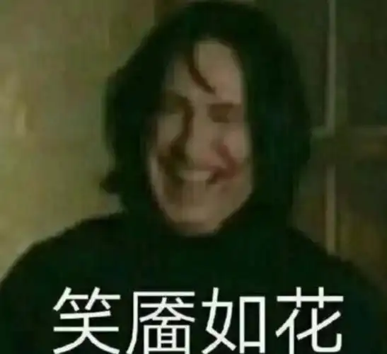 是斯内普教授的表情包,抱图留名-大东喵!