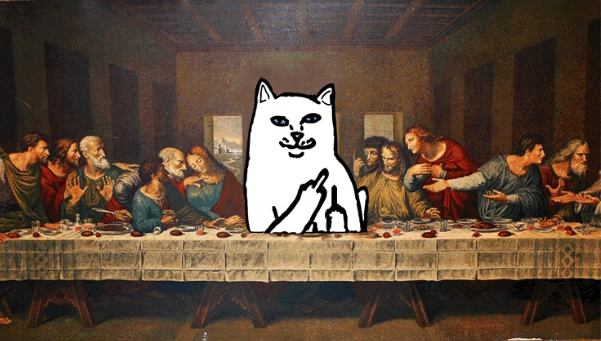 中指猫是什么品牌中指猫品牌的由来