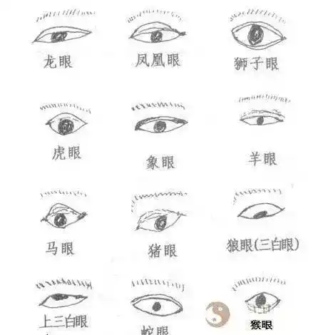 无论是眼睛的形状,眼彩;还是眼睛周围的痣斑等等,不同的眼相,说明其人