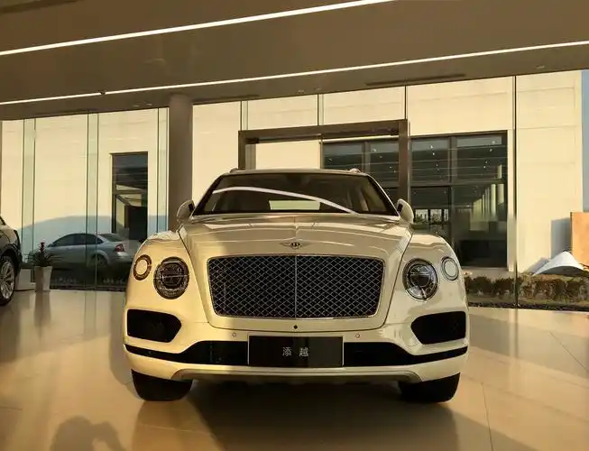 宾利添越 冰川白/白内 现车优惠80万元销售