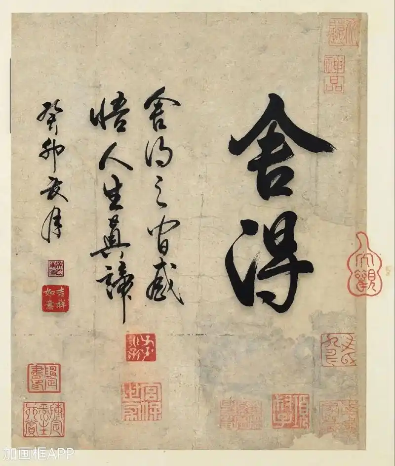 舍得…是人生中的大智慧#舍得书法作品 #舍得舍得有舍才有得 - 抖音