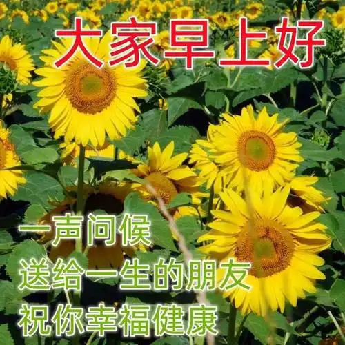 早上好温馨问候语大全 大家早上好祝福语加图片 朋友早晨问候语