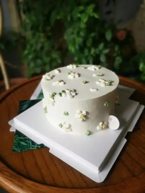 小清新裱花奶油蛋糕