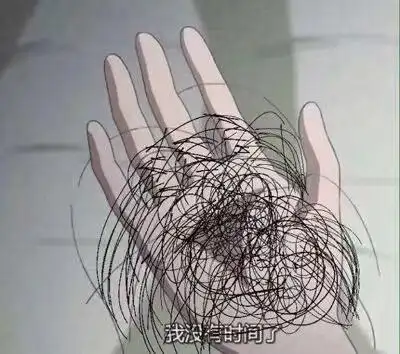 我没有时间了一大把头发表情包-表情包网站