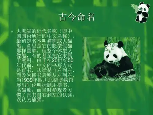 熊猫的简单介绍小学演讲pptppt