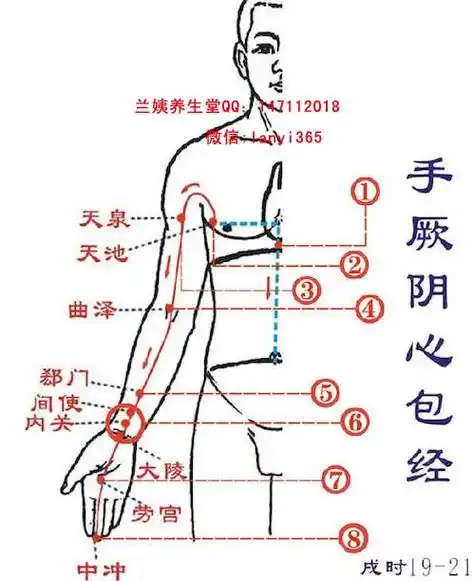 经络循行:手太阴肺经
