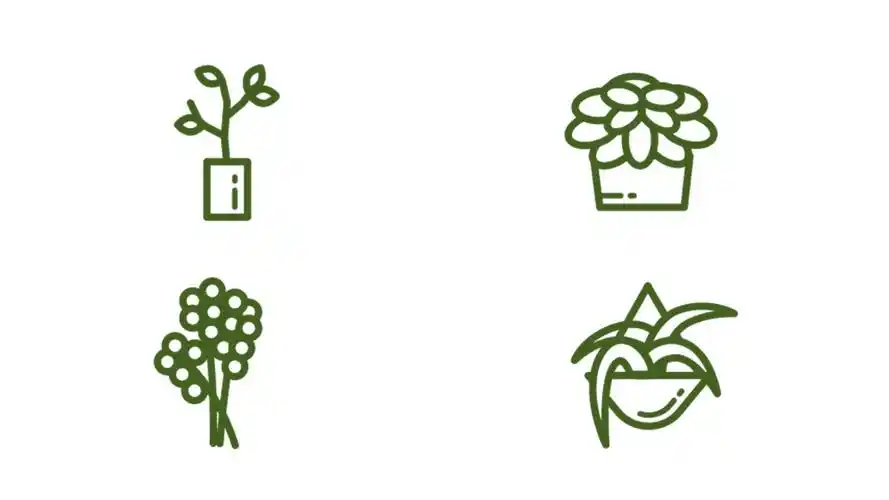 植物成长ppt素材