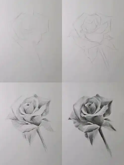 超级简单详细玫瑰花步骤图