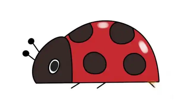 七星瓢虫简笔画