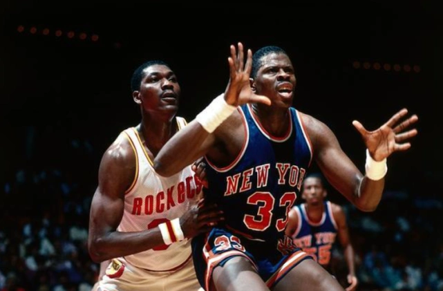 nba现役四大中锋;网友:为什么没有霍华德?