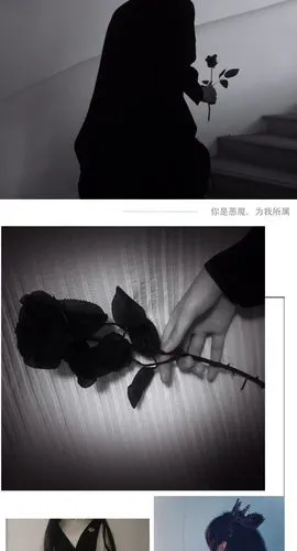 封后(fenghou)装饰摆件 仿真黑色玫瑰花 暗黑系风格写真拍照摄影道具