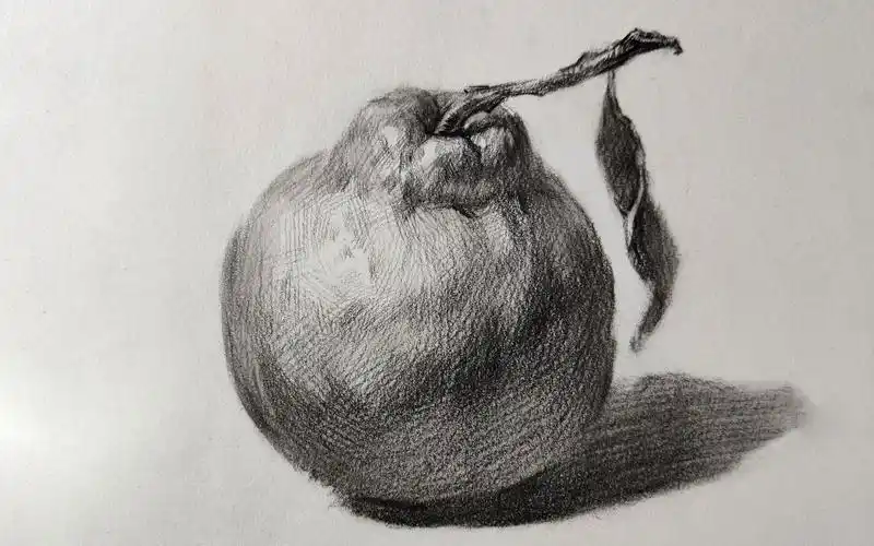 素描静物丑橘全因素素描素描基础光影素描