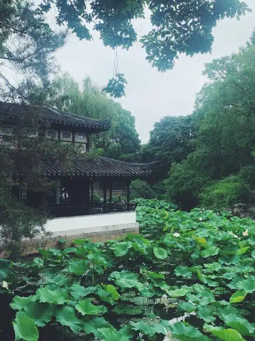 苏州园林中国四大园林之一拙政园