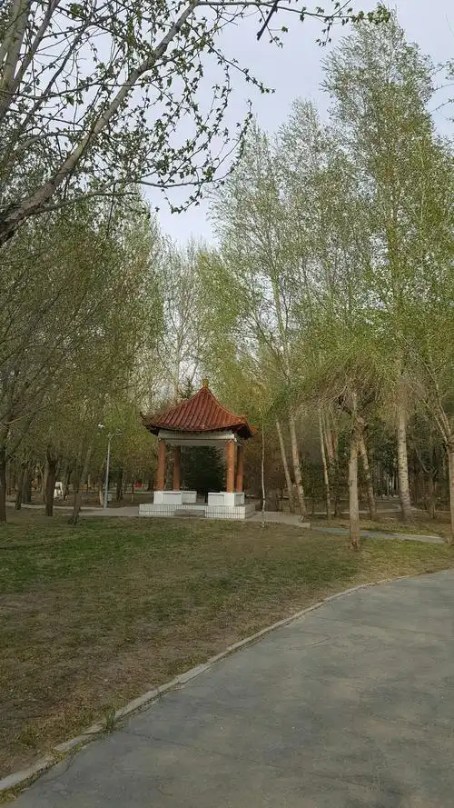 黑龙江省绥化市青冈县长江南路靠近青冈县第一中学校天气预报