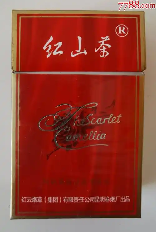 红山茶焦14大吸烟