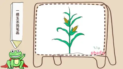 一棵玉米简笔画
