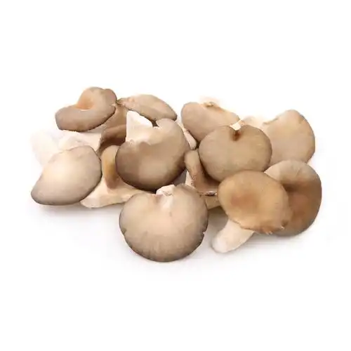 珍菇园有机姬菇150克