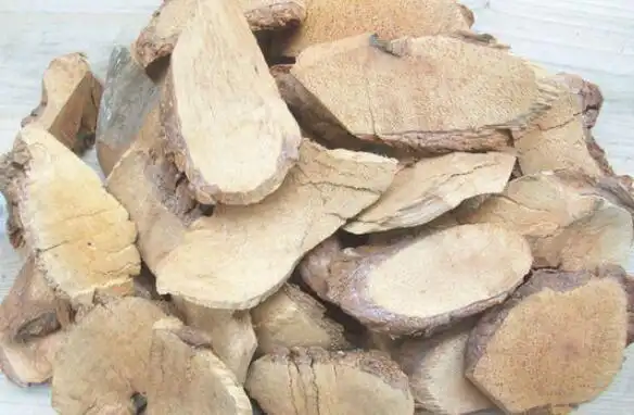 野生猕猴桃根的功效与作用乳腺癌猕猴桃根二两五钱水10