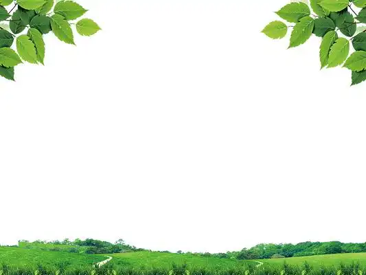 绿色简约草地草坪草原叶子植物绿色边框元素png素材