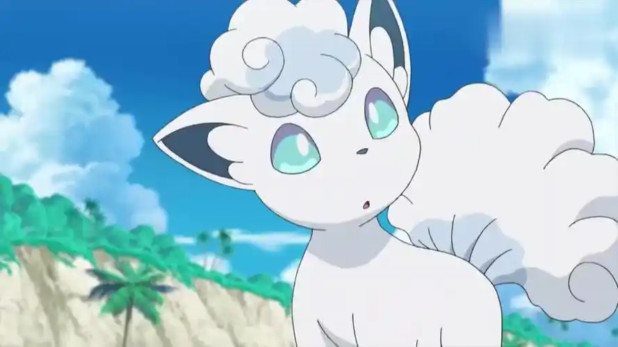 宝可梦日月:小智在特训,白滚滚也来试一试吧,特训能