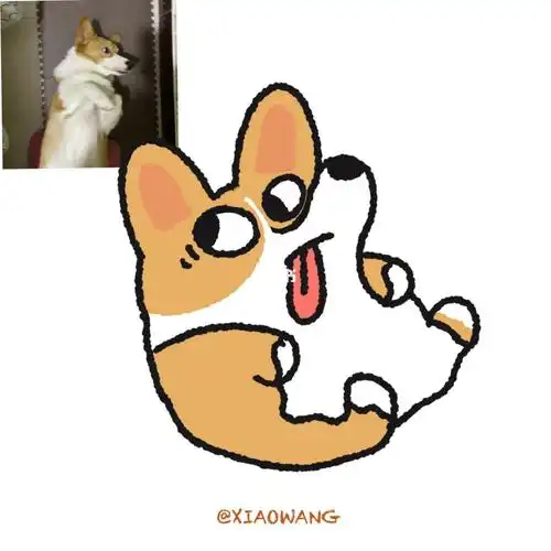 procreate绘画  #柯基  #插画小柯基打卡  #简笔画  #涂鸦  #小柯基