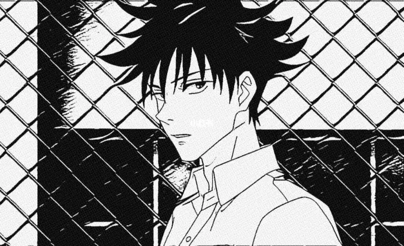 嵌合暗翳庭_咒术回战_咒术回战伏黑惠_影视_动漫