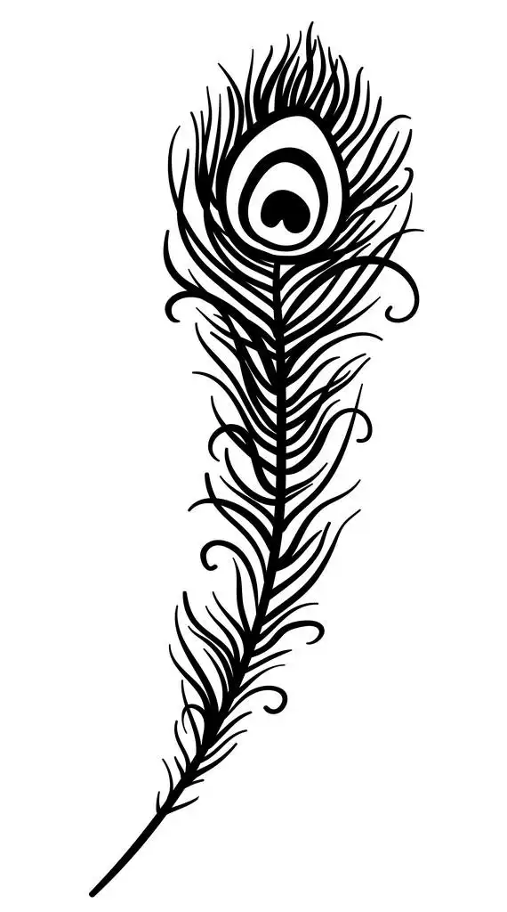 美丽的孔雀羽毛,美丽的孔雀羽毛 (矢量的白色背景上的插图)