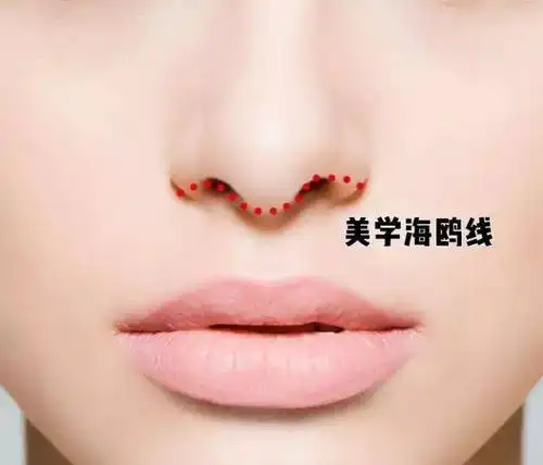 最漂亮的4种鼻子,话说第3种很少人有!