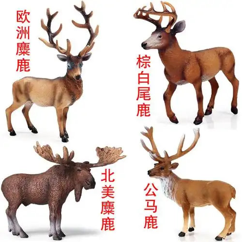 仿真麋鹿摆件 树脂鹿模型 纽芬兰北美驯鹿欧洲麋鹿白尾鹿马鹿驼鹿