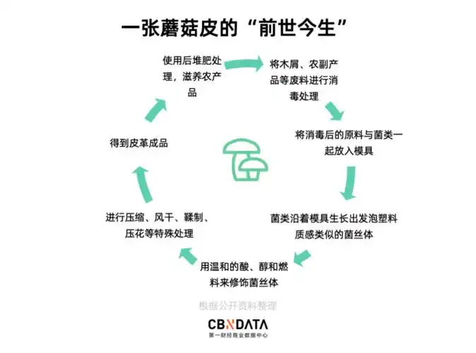 时尚品牌为什么都开始种蘑菇?