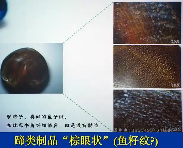 看过这篇文章你可以分辨市面犀角藏品真假