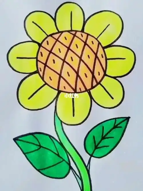 向日葵简笔画