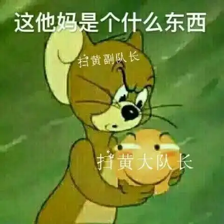 扫黄副队长黄大队长_扫黄_副队长_大队长_如是_东西表情