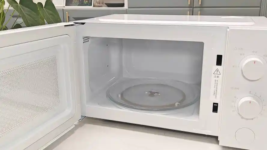 米家新品微波炉开箱体验,快速搞定一日三餐!_时间_食物_输出