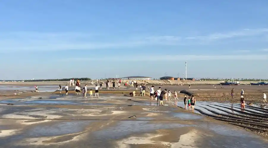 盐城东台条子泥风景区摄影作品欣赏